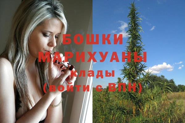 дживик Нефтегорск